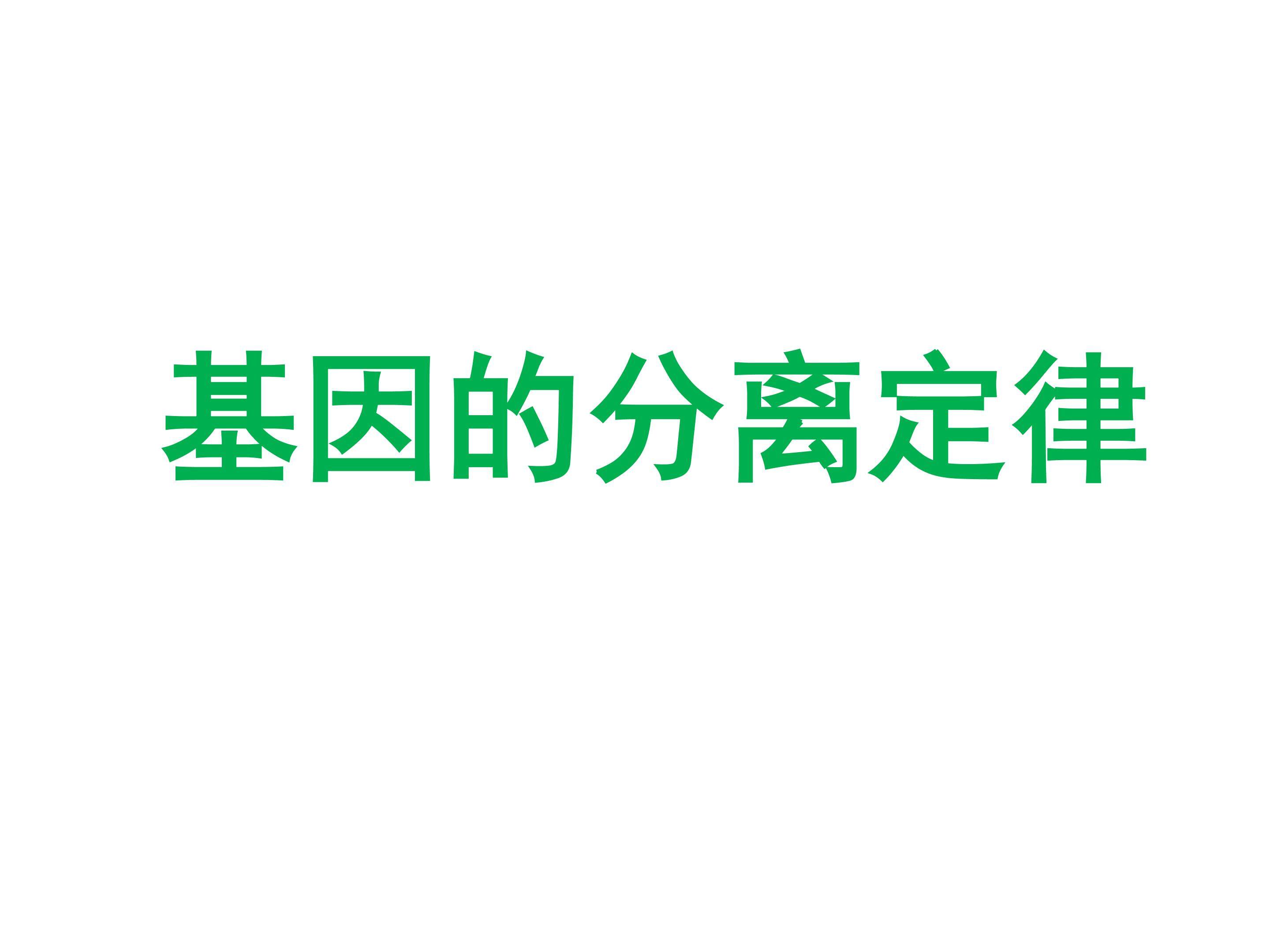 基因的分离定律_课件1