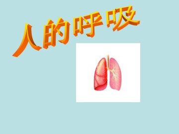 人的呼吸_课件3