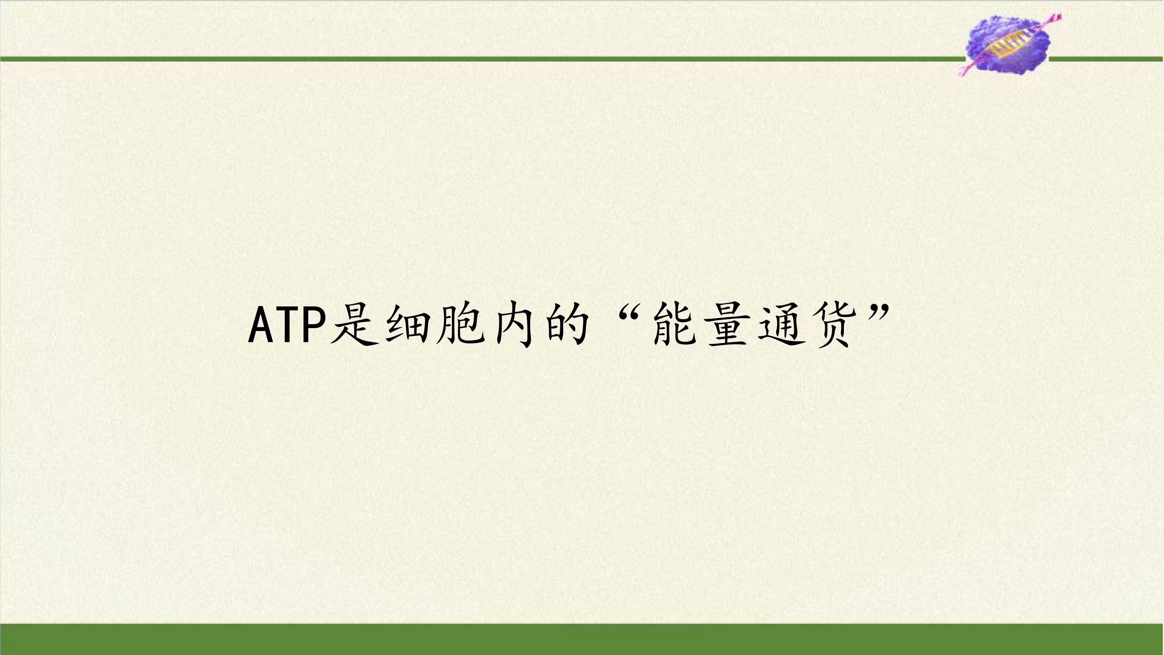 ATP是细胞内的“能量通货”
