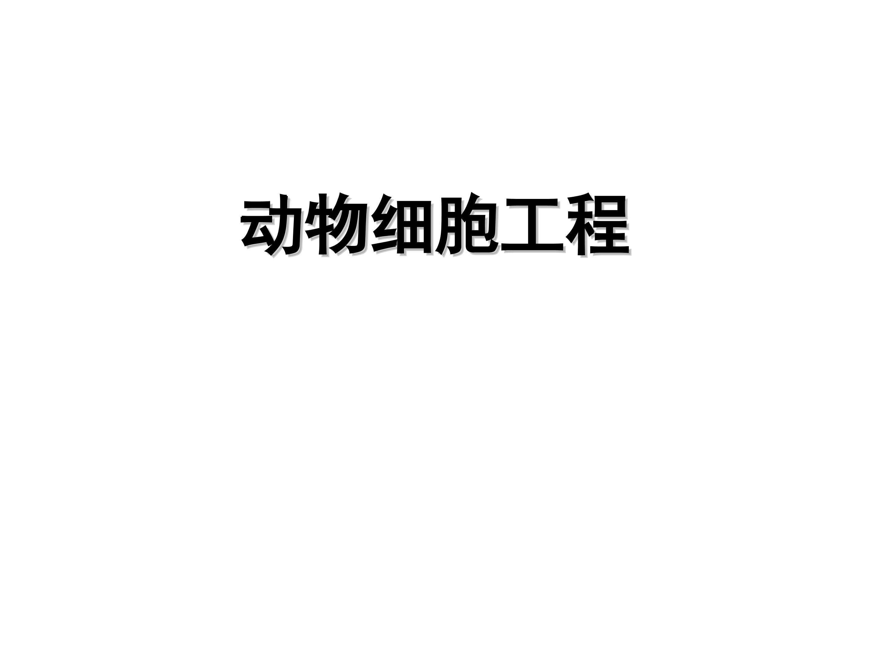 动物细胞工程_课件1