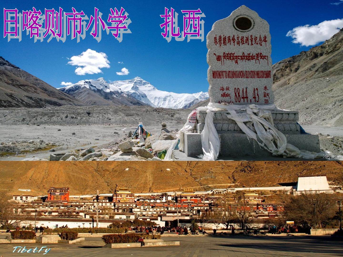 平行四边形的面积