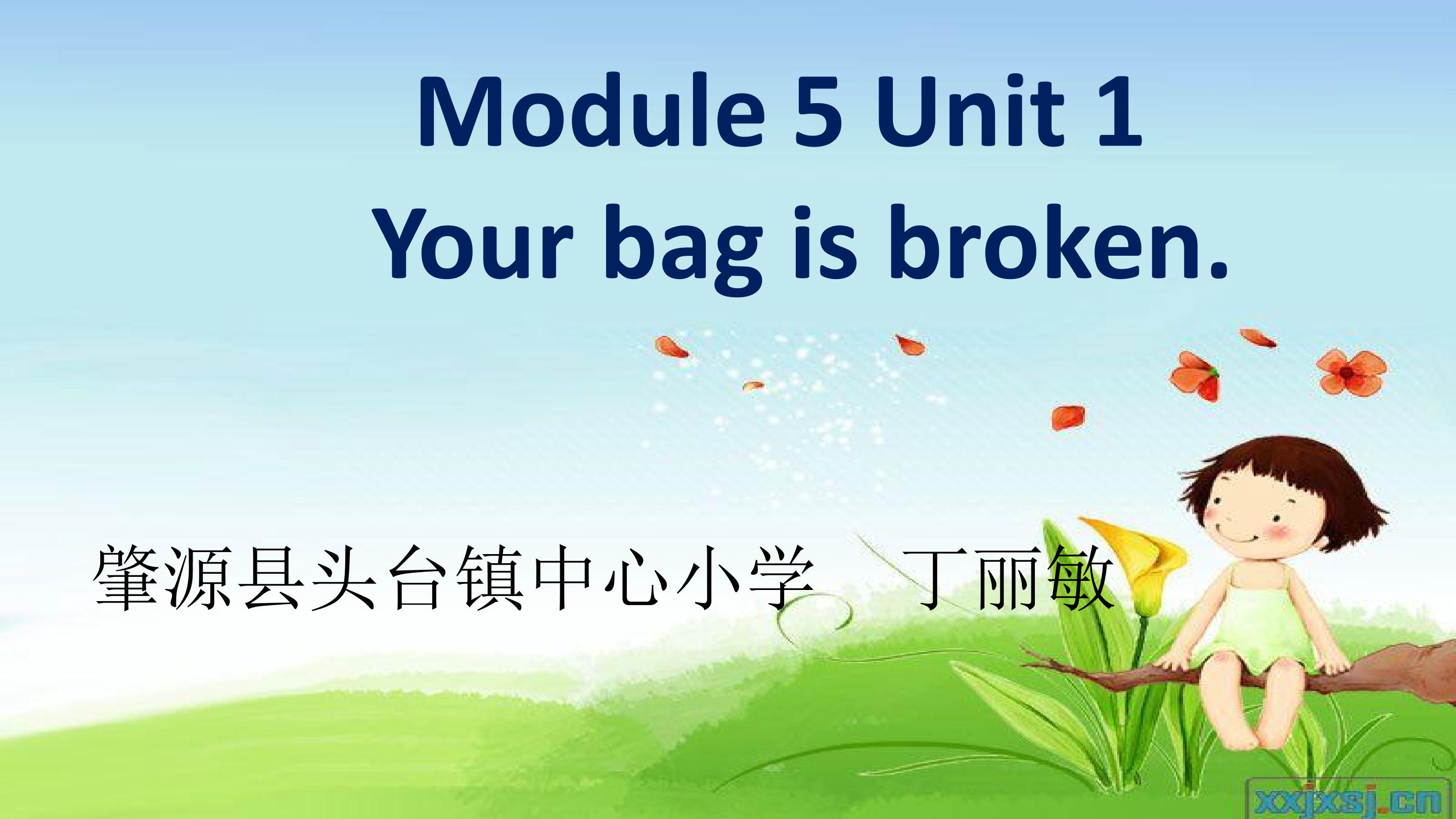 Module 5 Unit 1 Your bag is broken.