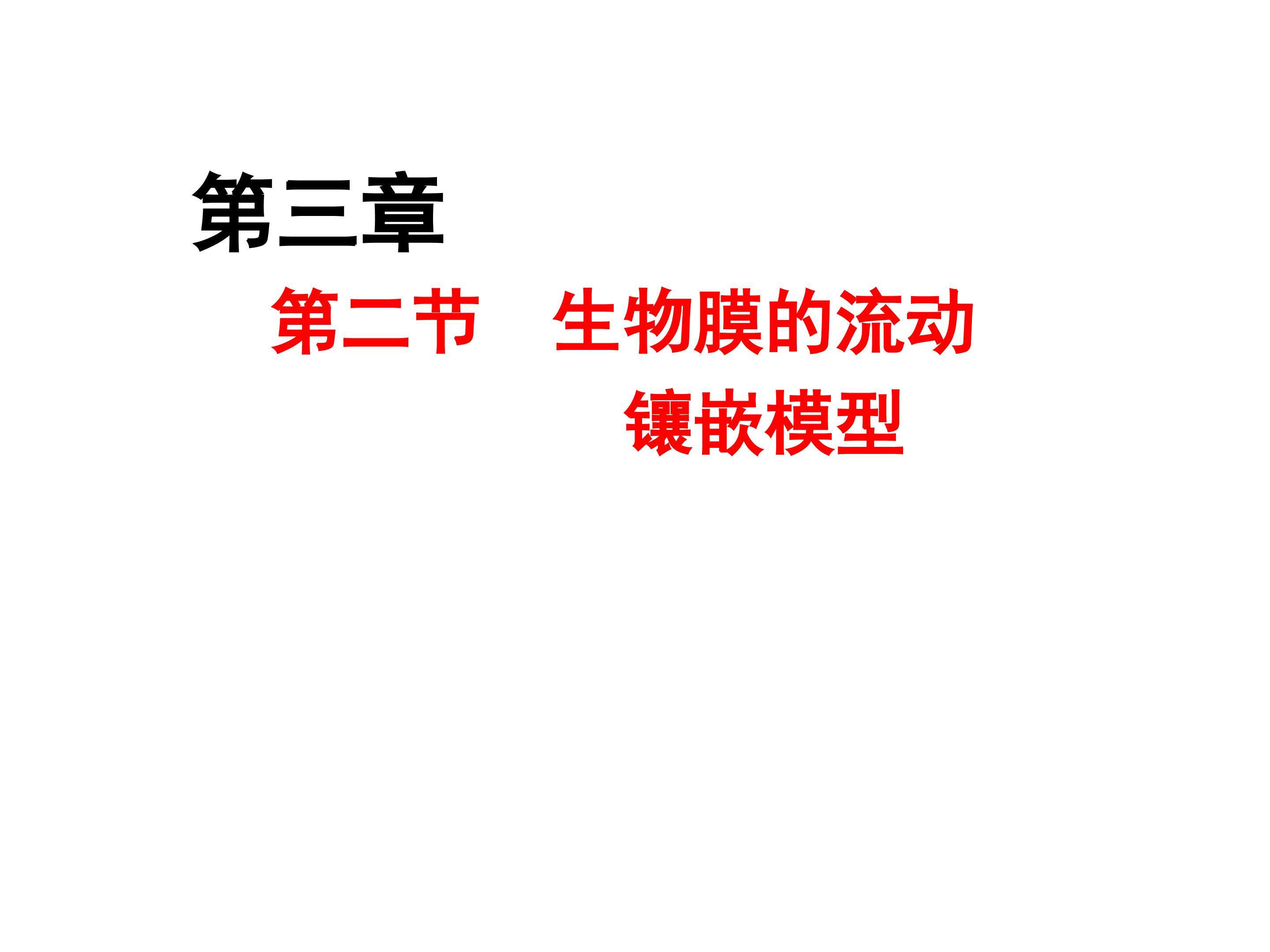 《生物膜的流动镶嵌模型》多媒体课件