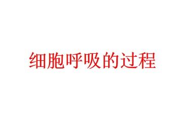 细胞呼吸的过程_课件1