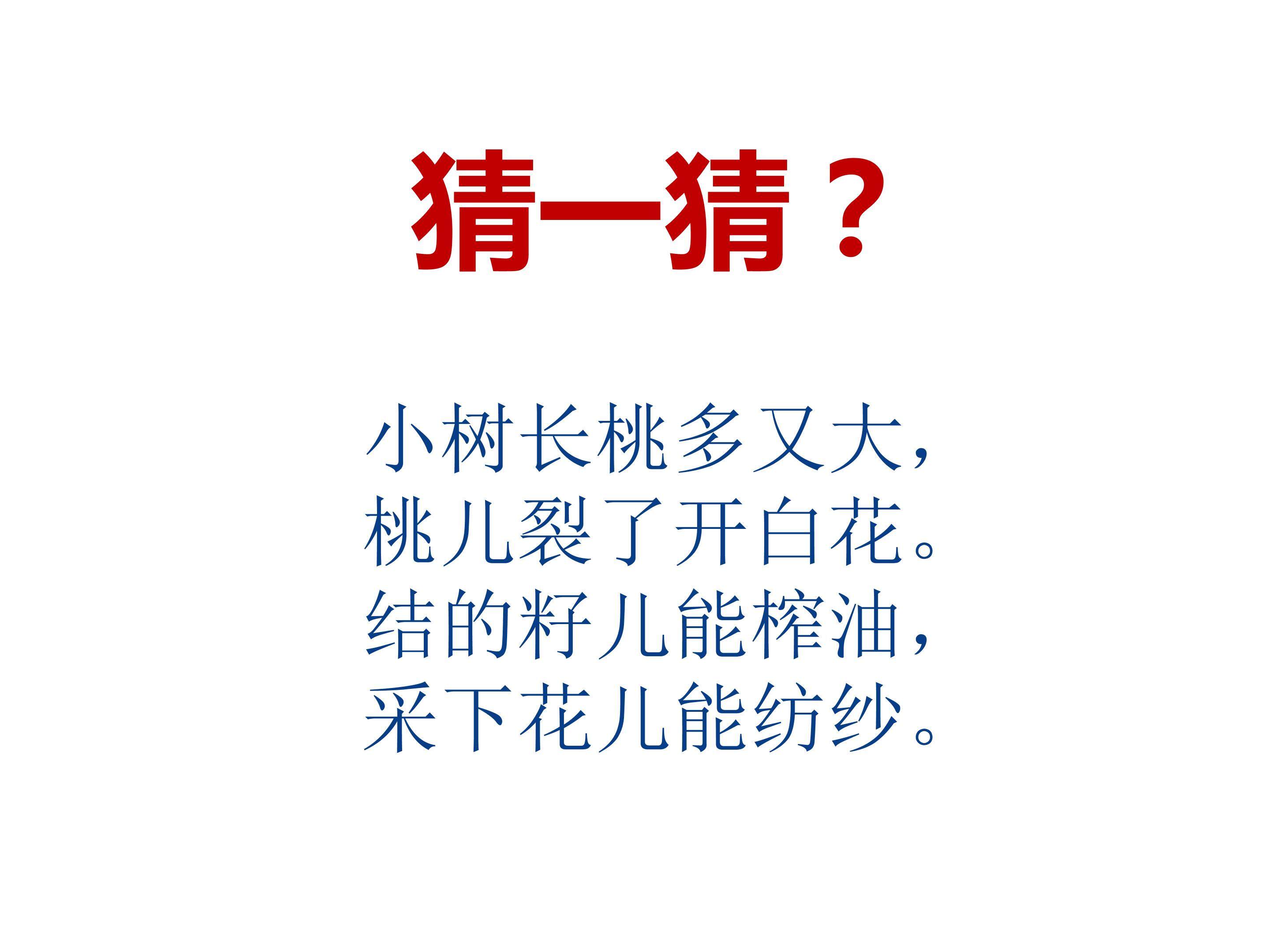 《棉花姑娘》