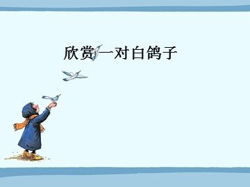 一对白鸽子_课件1