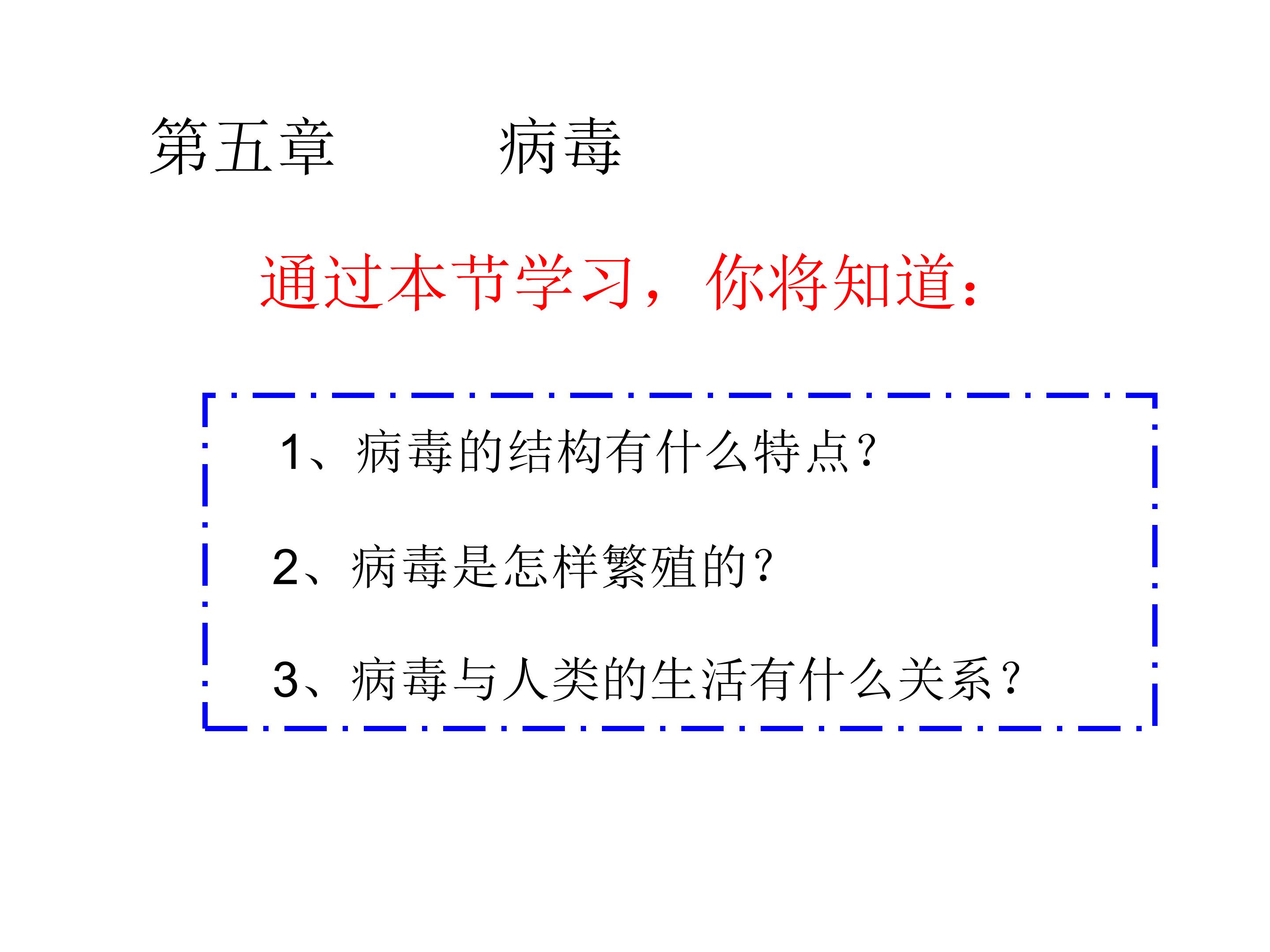 第五章 病毒