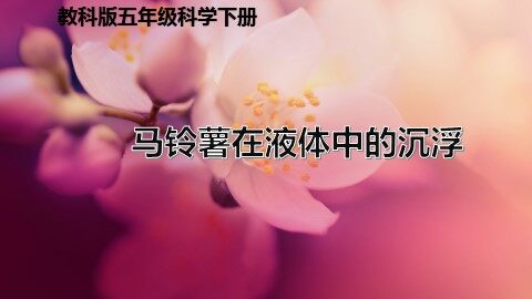 7.马铃薯在液体中的沉浮