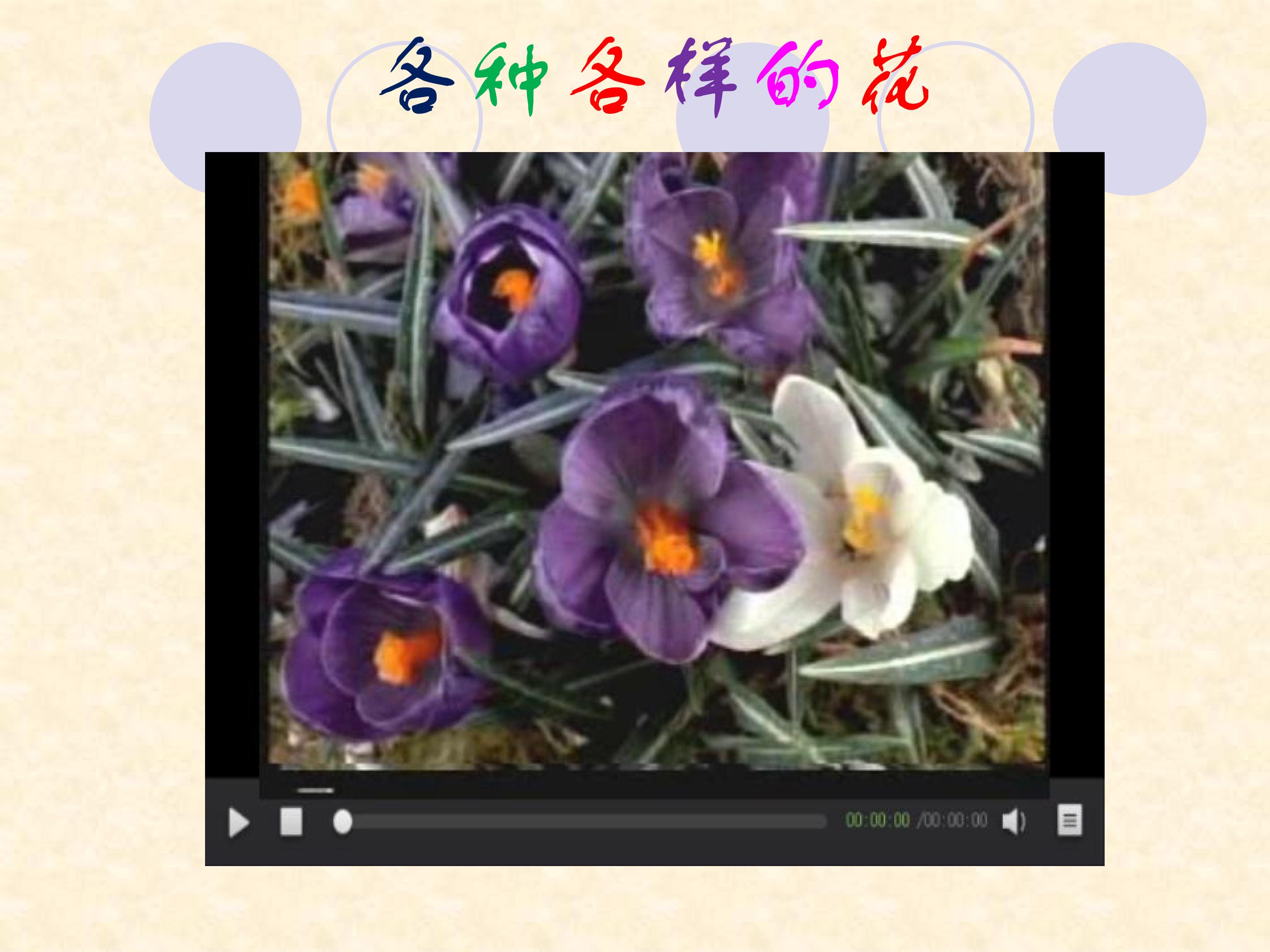 开花和结果