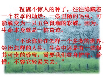 龙海市石码中心小学江瑞峰四年级下册语文《生命  生命》