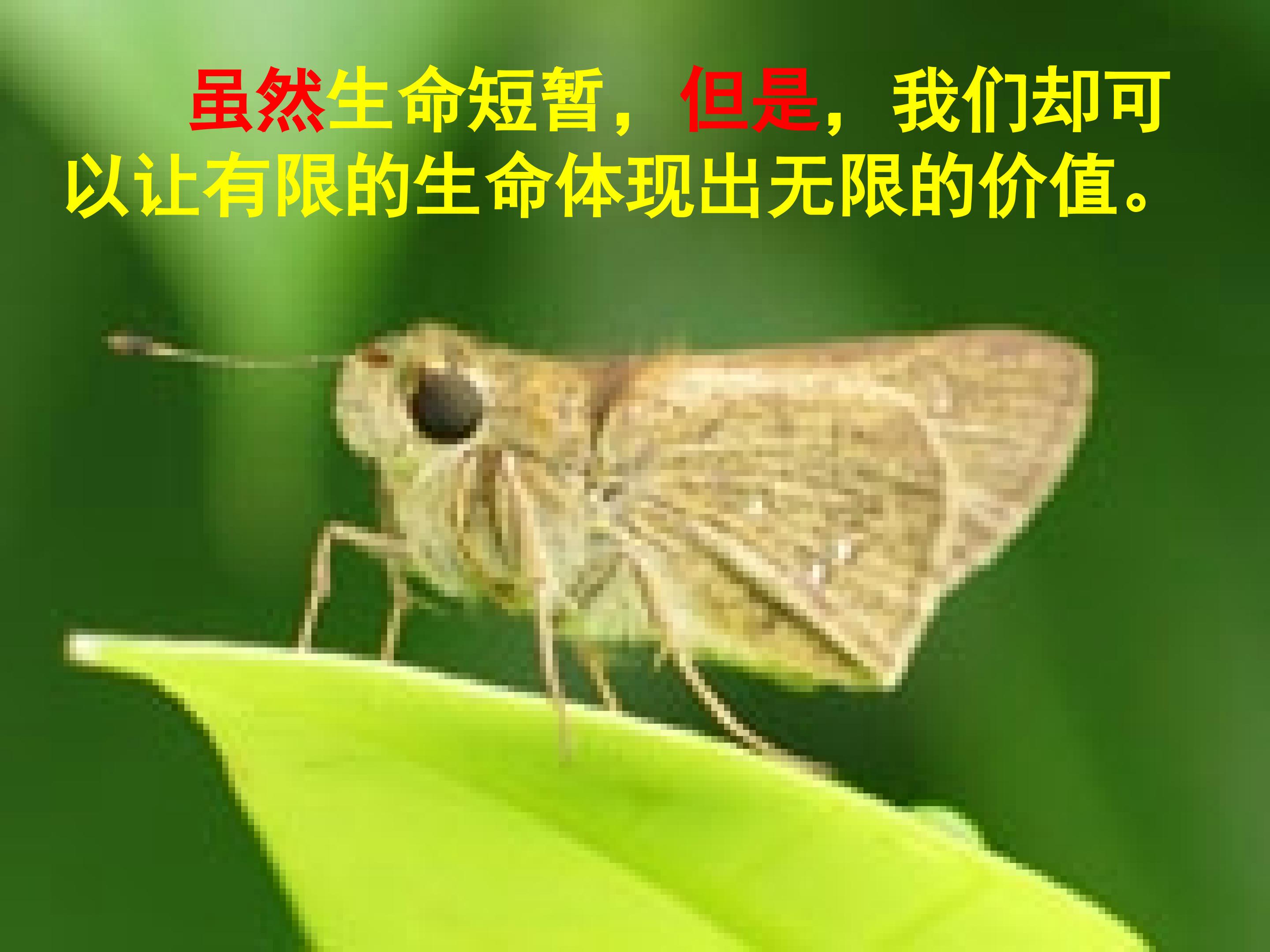 15.jpg