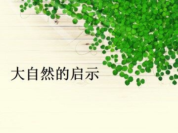 “打扫”森林_课件3