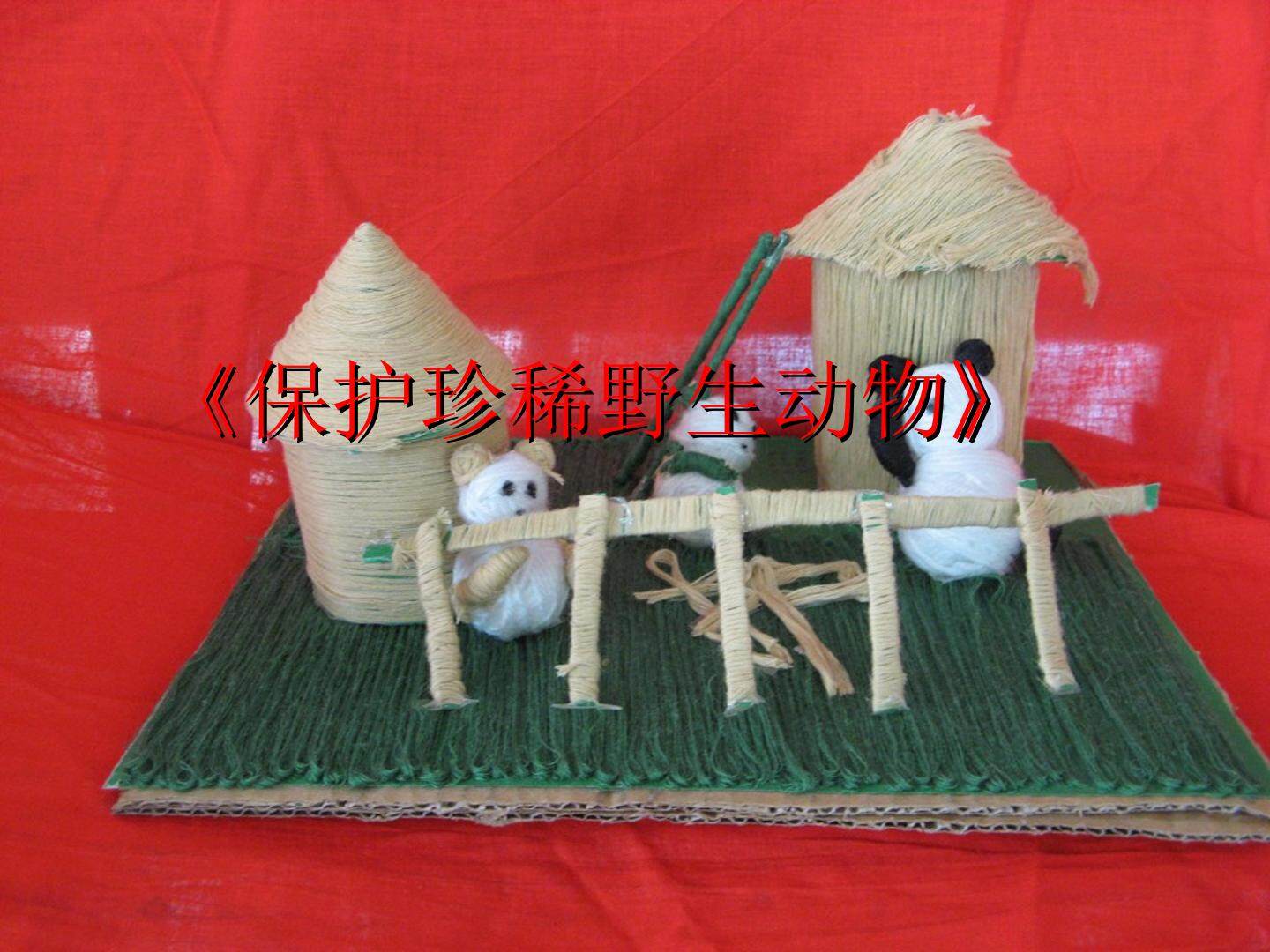 保护珍稀野生动物