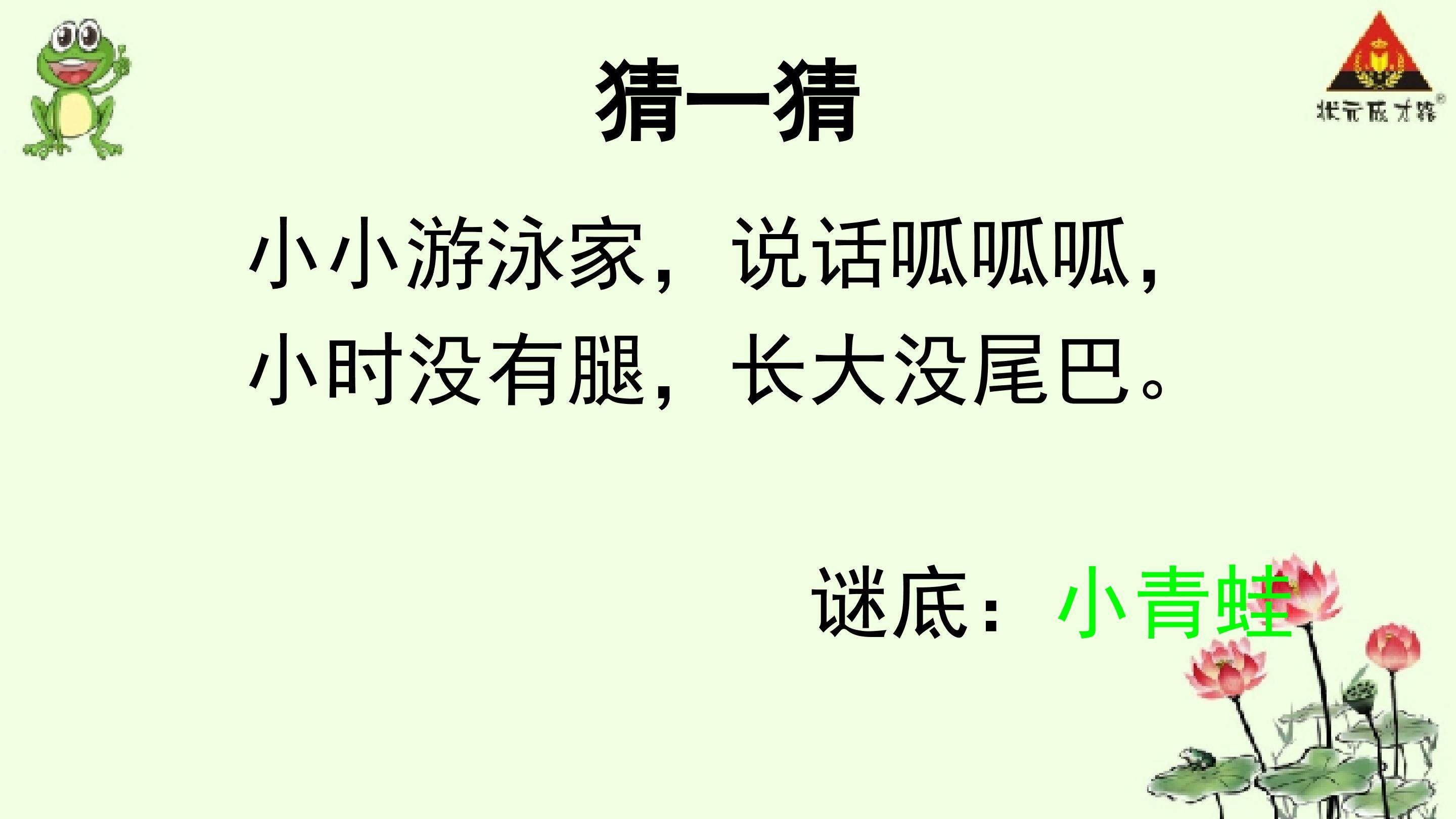 小青蛙