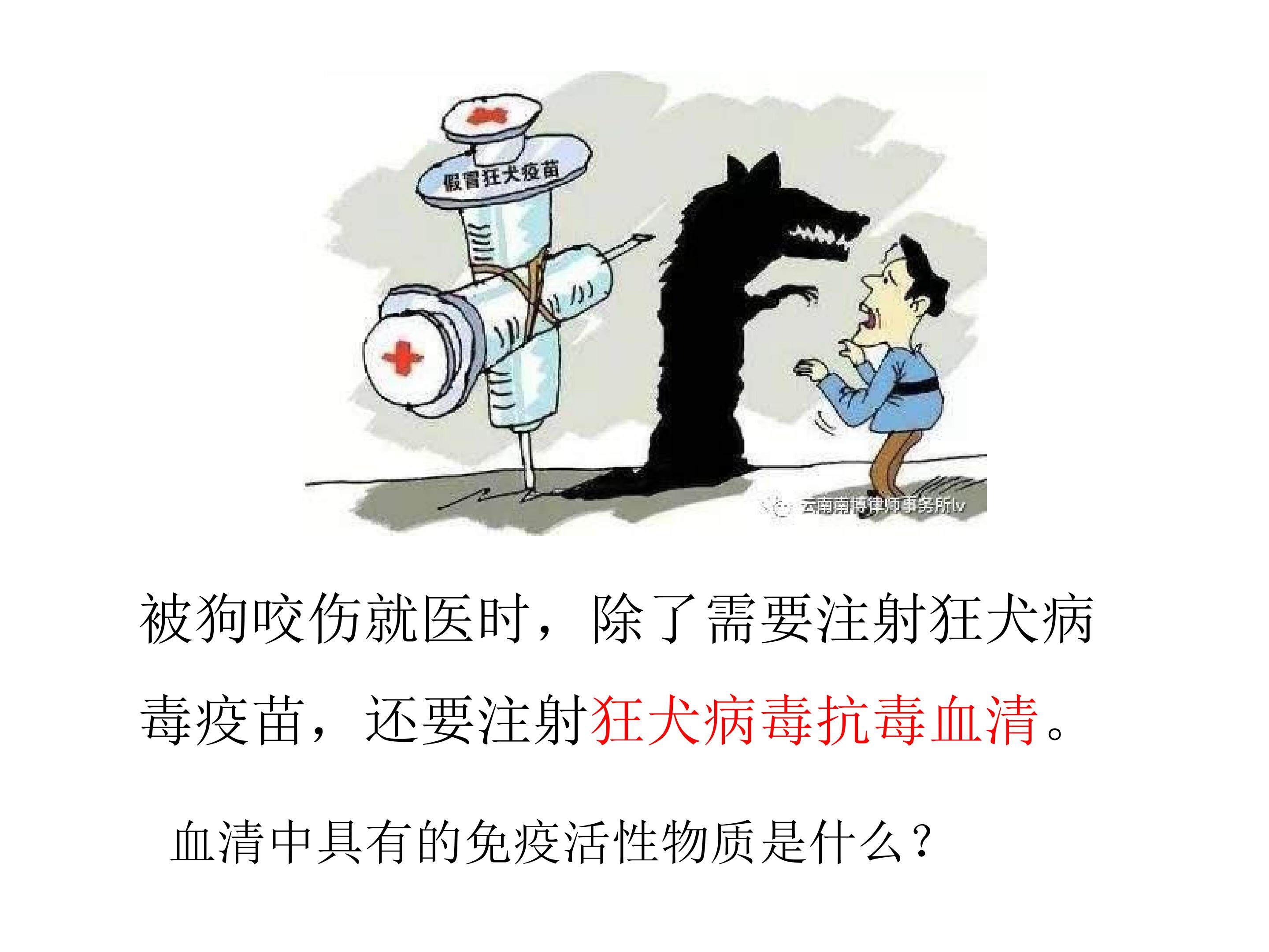 细胞器一轮复习