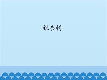 银杏树_课件1