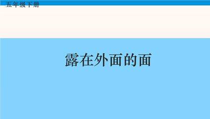 5年级数学北师大版下册课件第2章《露在外面的面》02