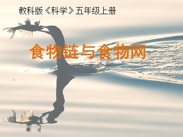 《食物链和食物网》课件参考