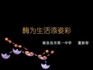 《酶为生活添姿彩》 秦皇岛市第一中学 董新春
