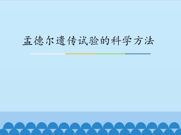 孟德尔遗传试验的科学方法_课件1