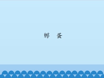 孵蛋_课件1