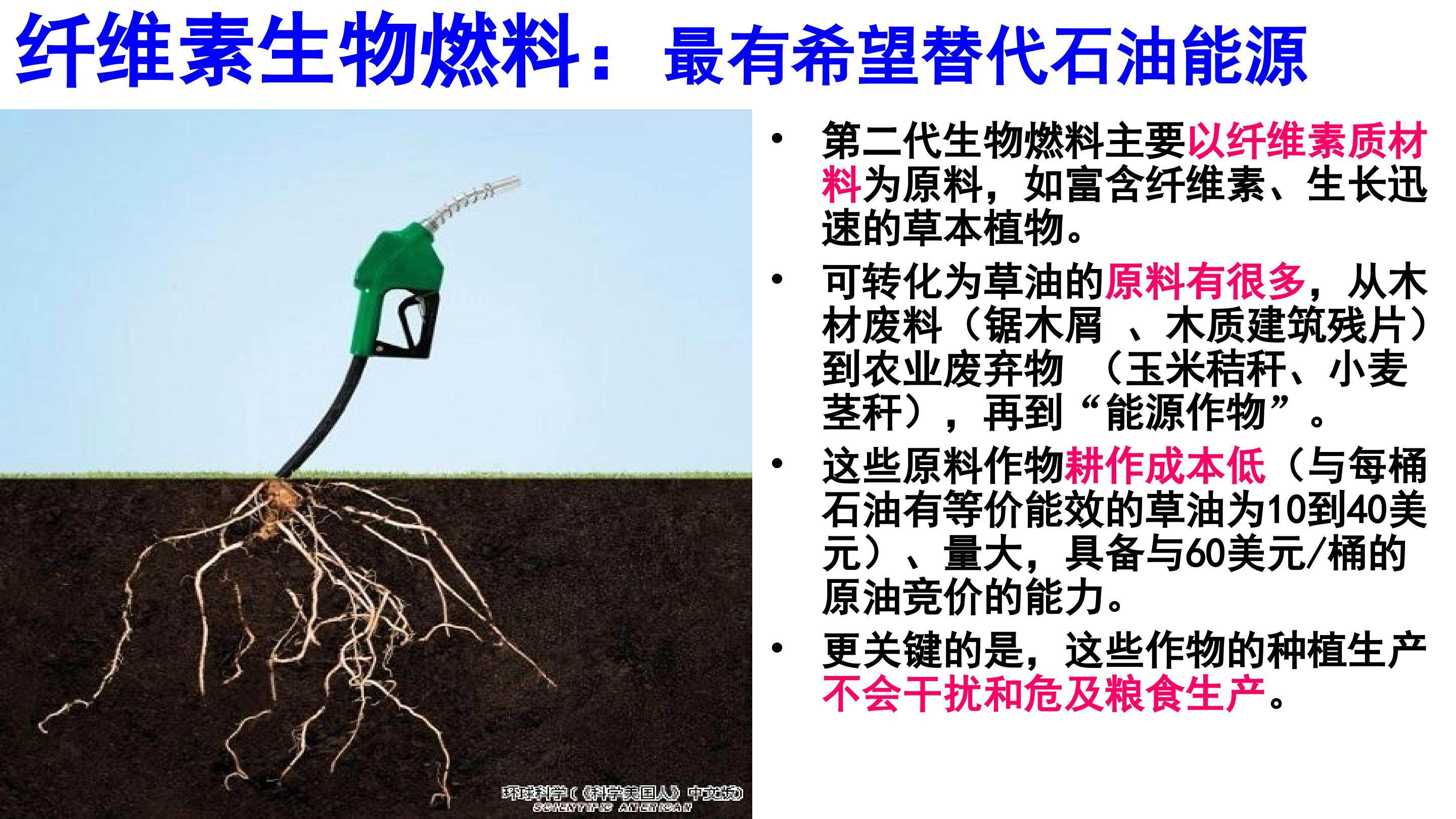 分解纤维素的微生物的分离