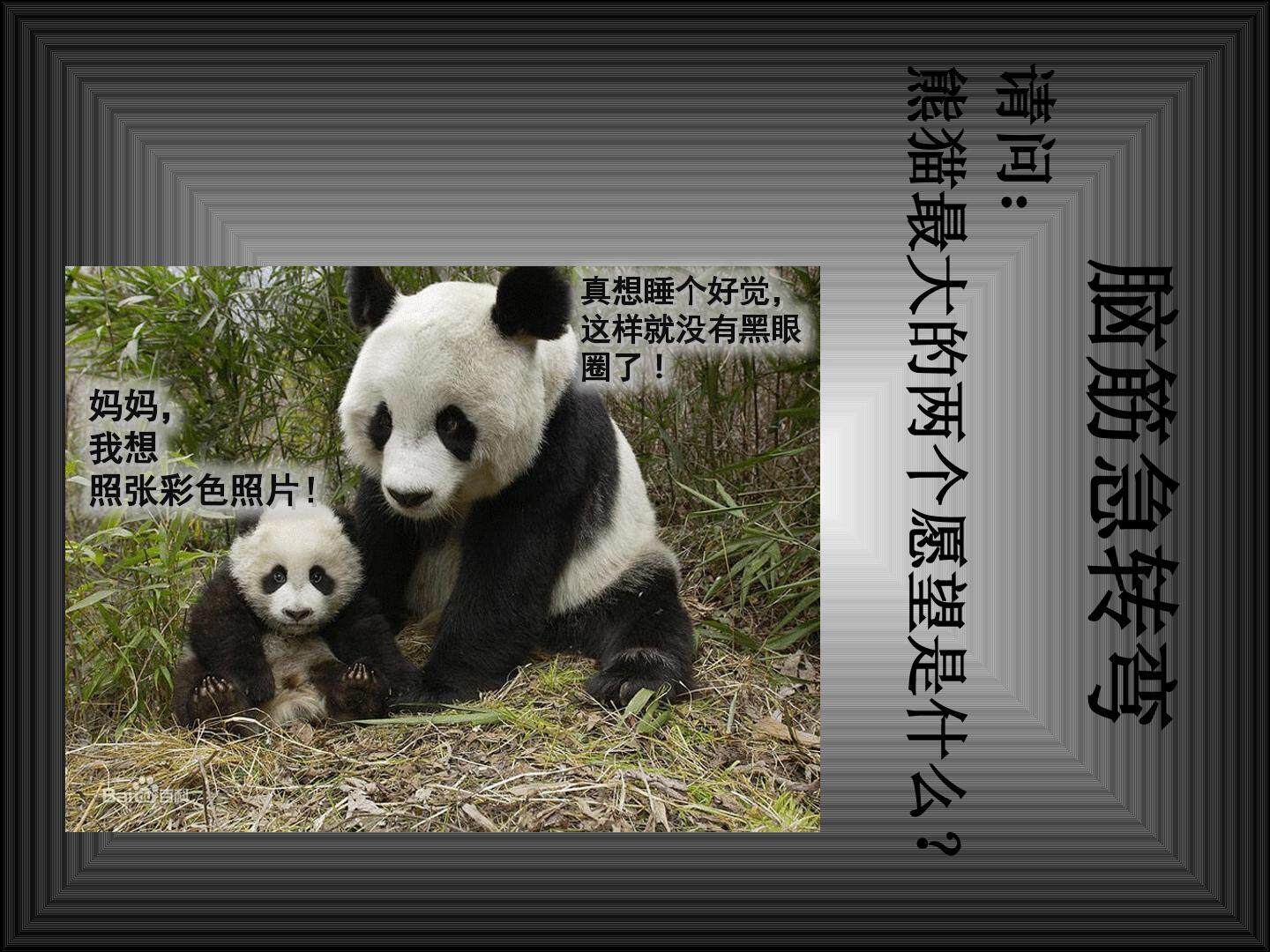 黑与白课件