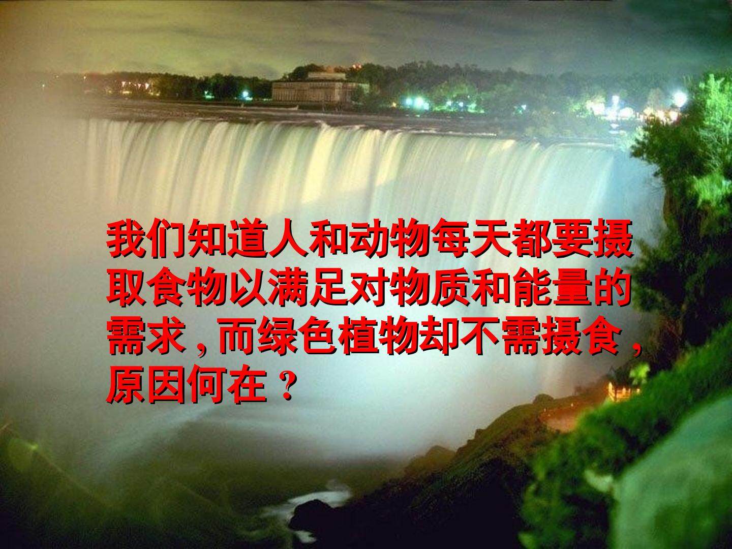 生物高中必修1第五章第四节第二课时课件2