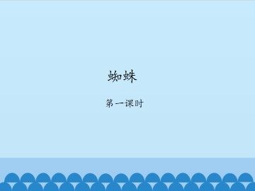 蜘蛛-第一课时_课件1