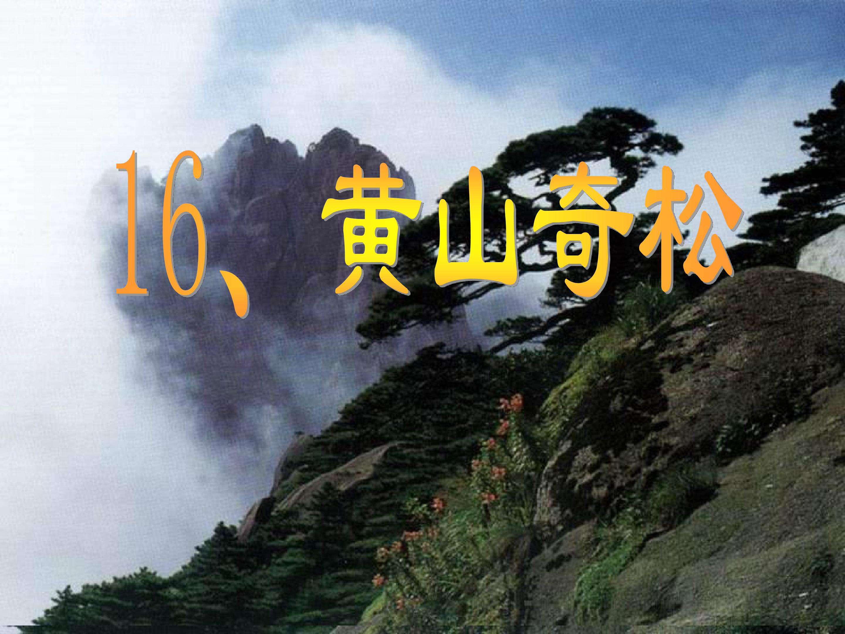 16、黄山奇松