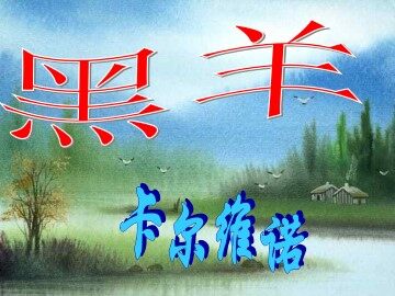 黑 羊_课件1