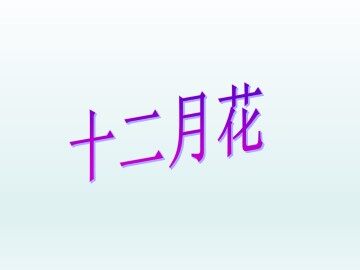 十二月花_课件1