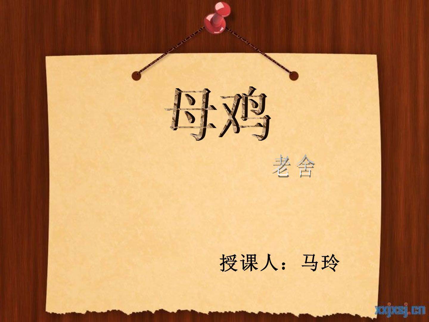 16* 母鸡