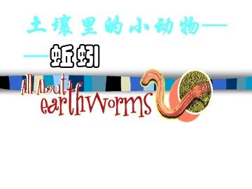 4.蚯蚓