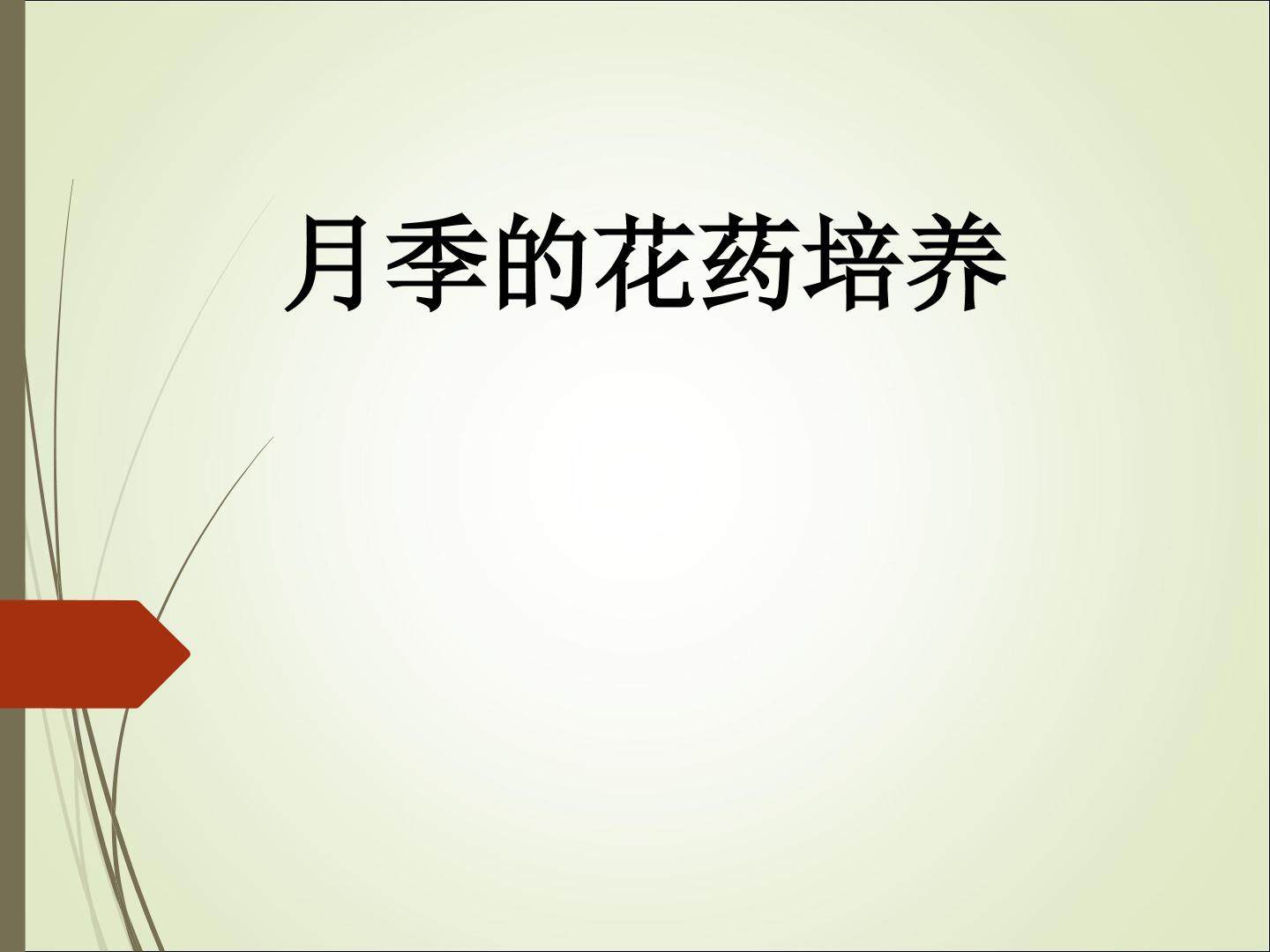 月季的花药培养_课件1