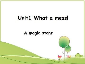 What a mess!_课件1