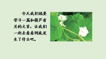 9  我要的是葫芦