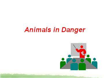 Animals in Danger_课件11