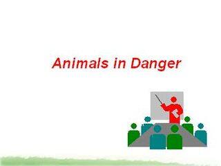 Animals in Danger_课件11