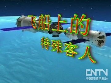 32* 飞船上的特殊乘客