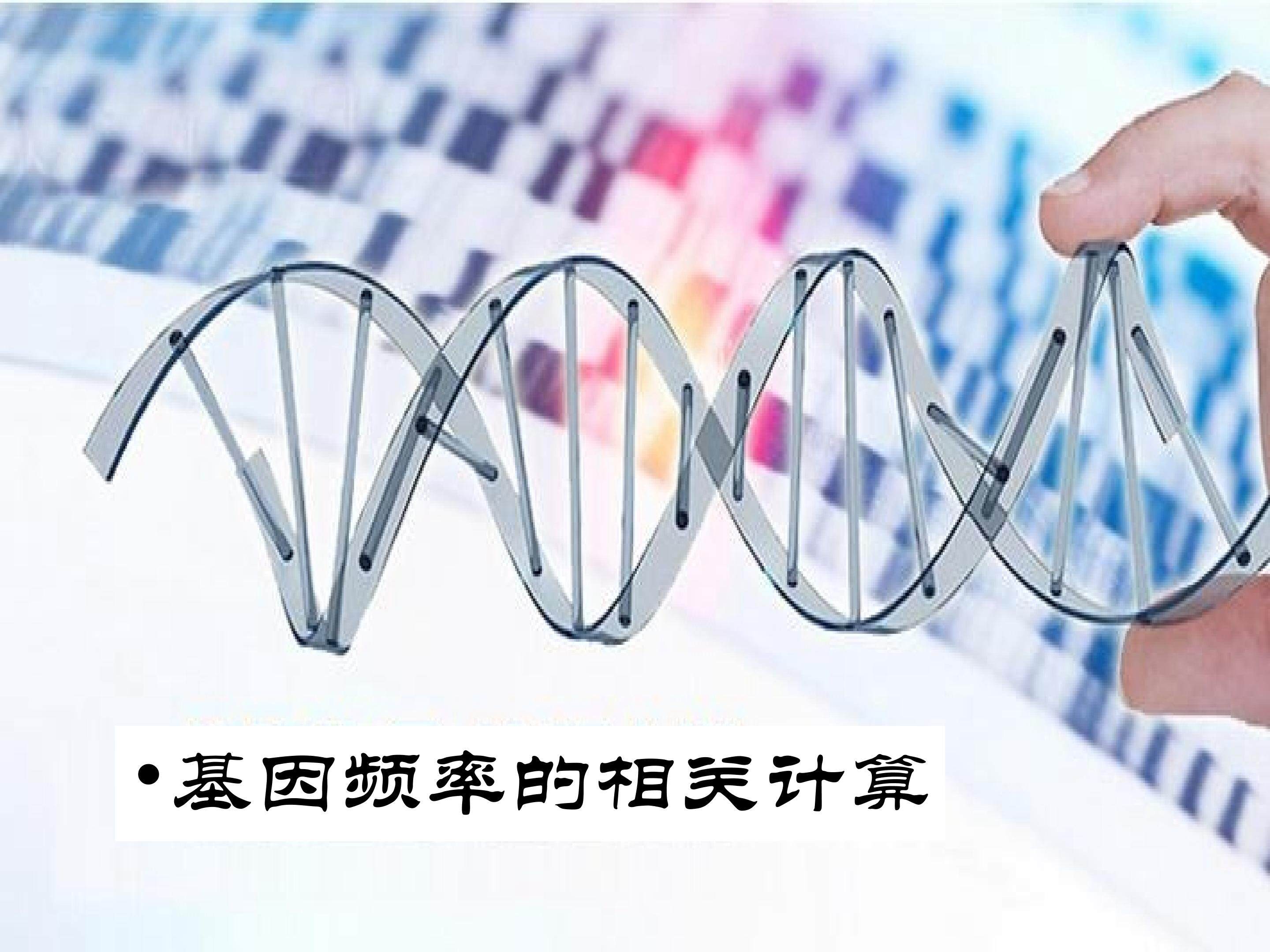 基因频率的相关计算