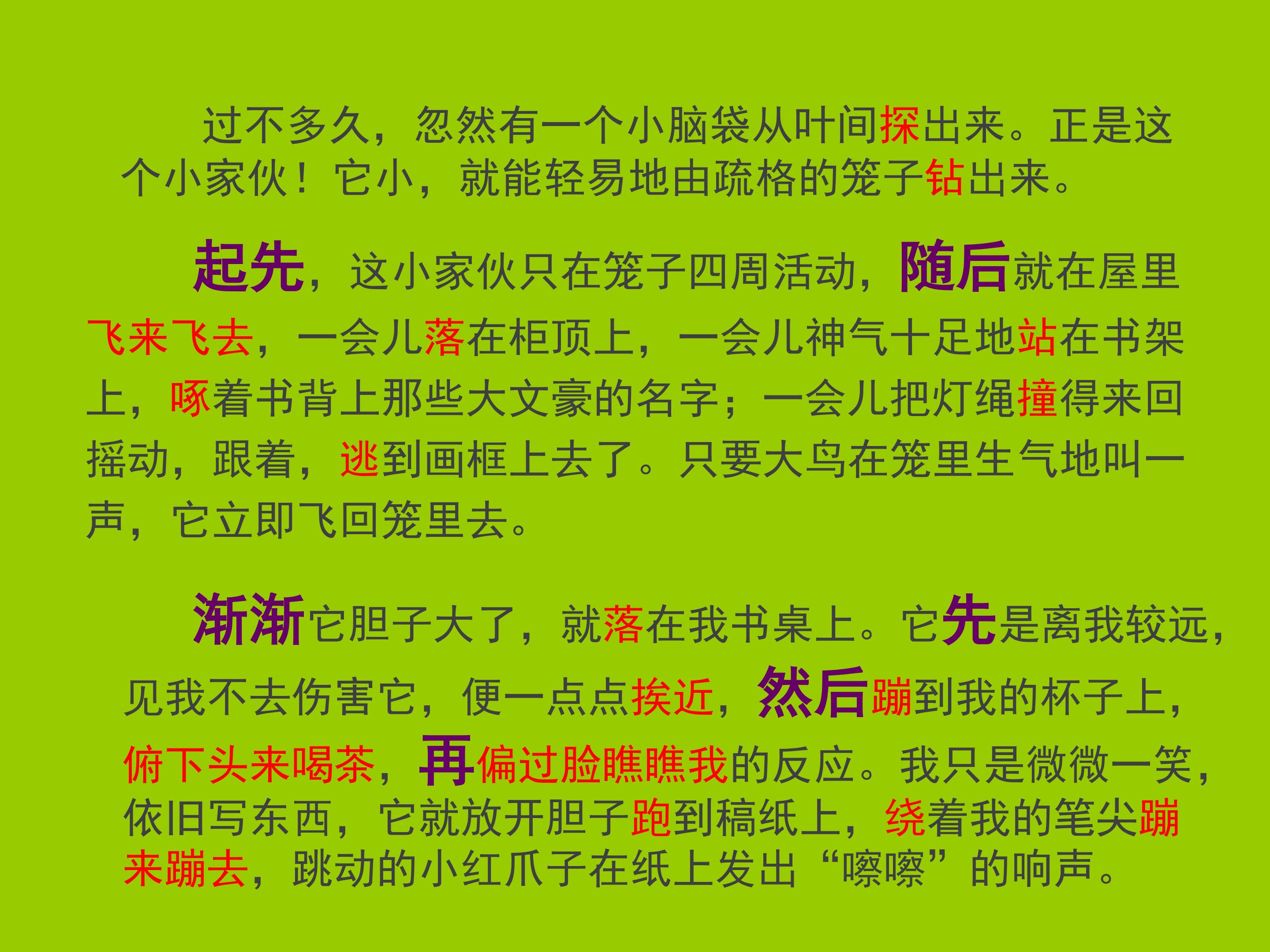 14.jpg