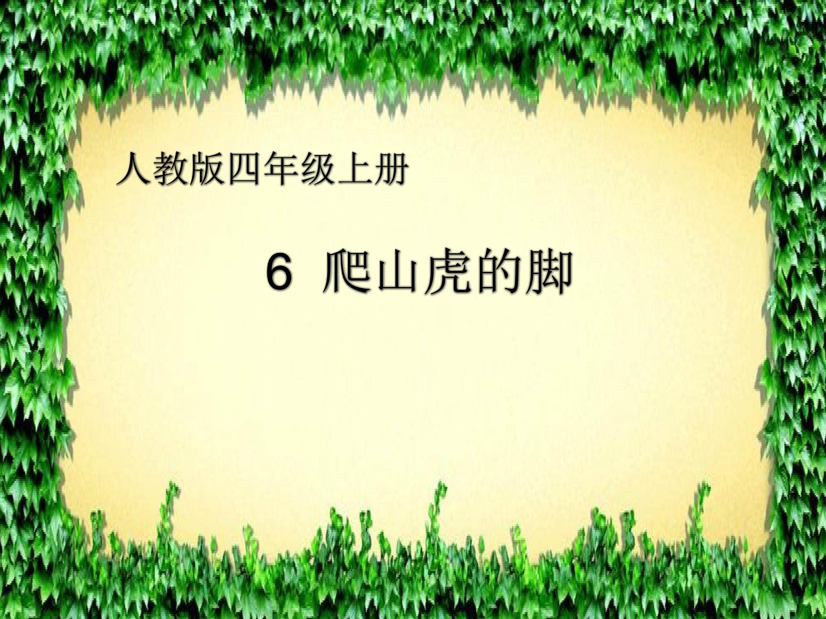 爬山虎的脚