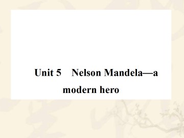 Nelson Mandela - a modern hero_课件38