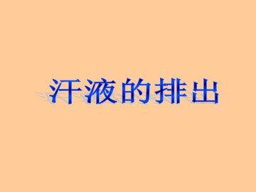 汗液的排出_课件2