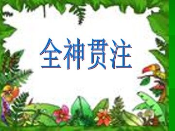 全神贯注_课件2
