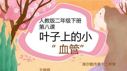 叶子上的小血管