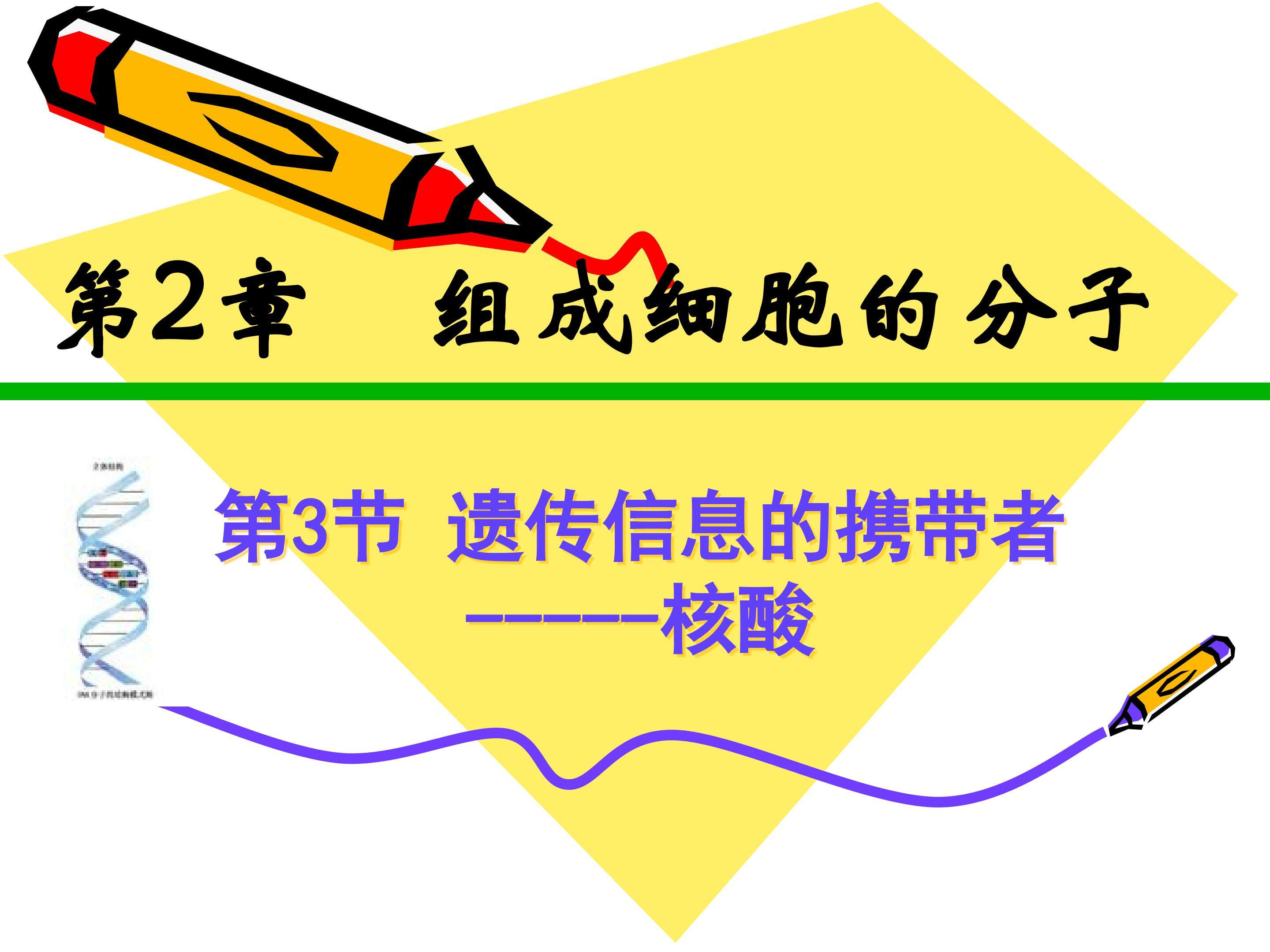 生物的遗传分子－－－核酸