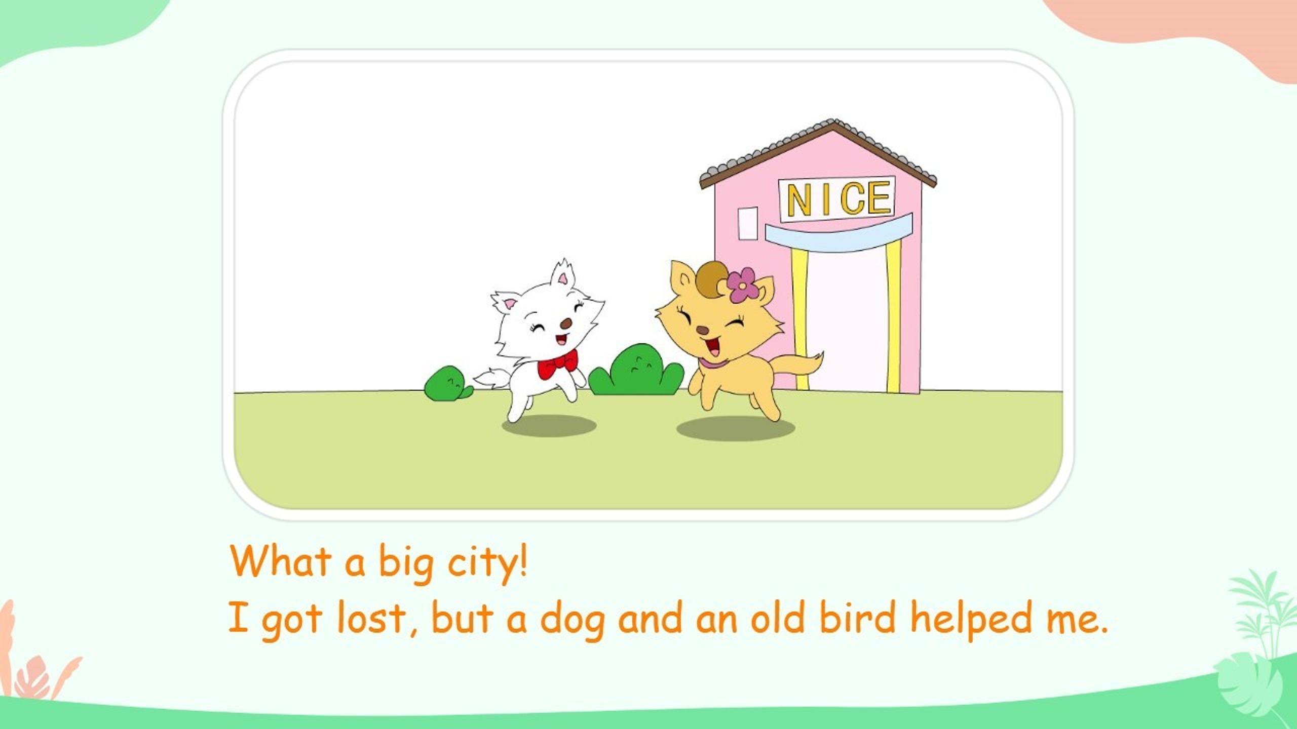 18.jpg
