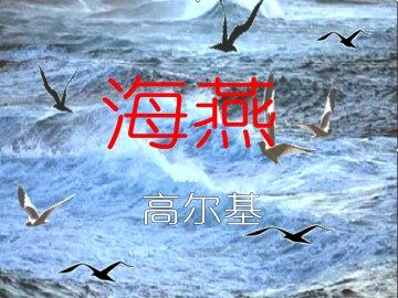 海   燕_课件4